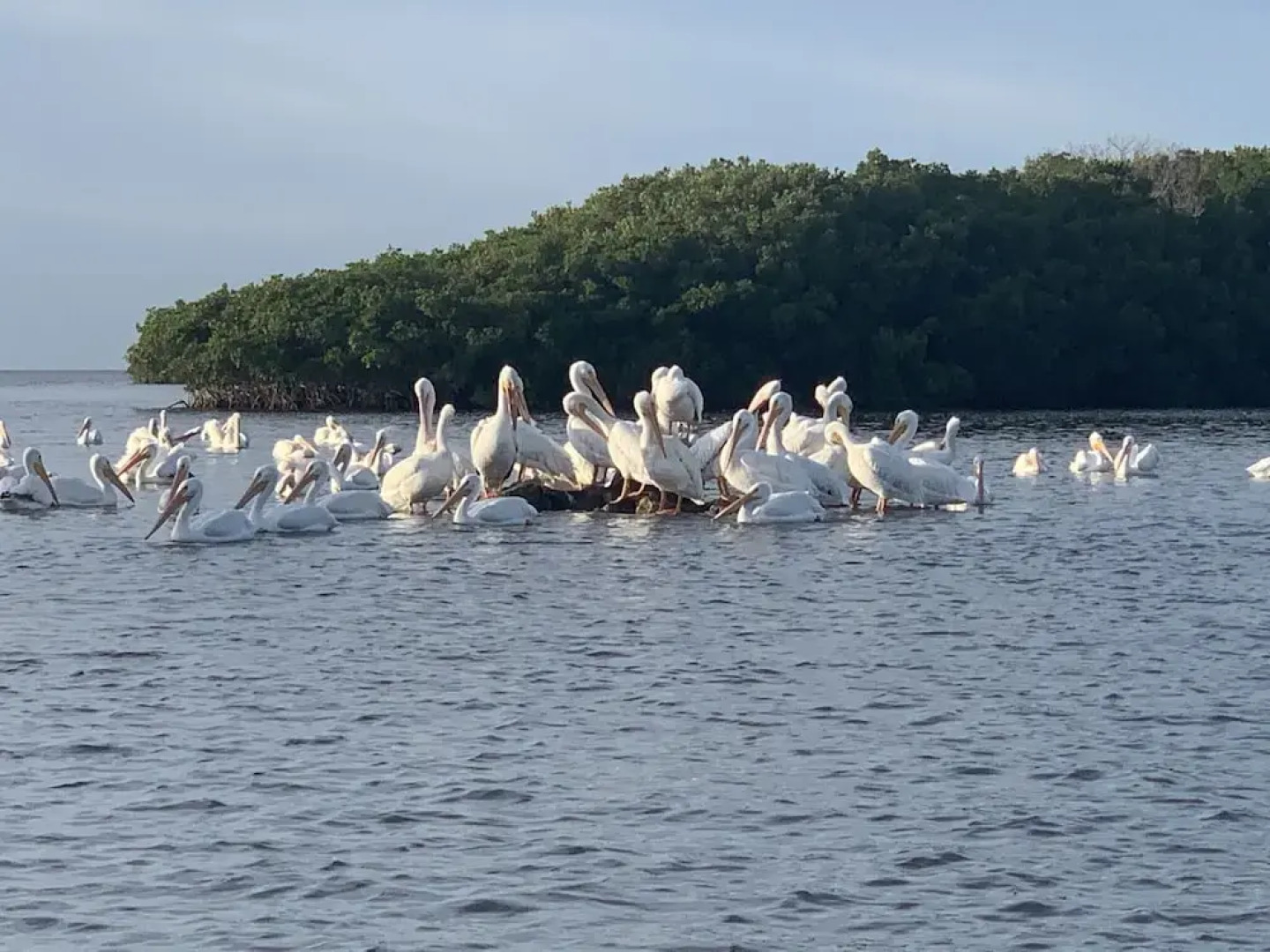 Crystal River Lullaby B&B