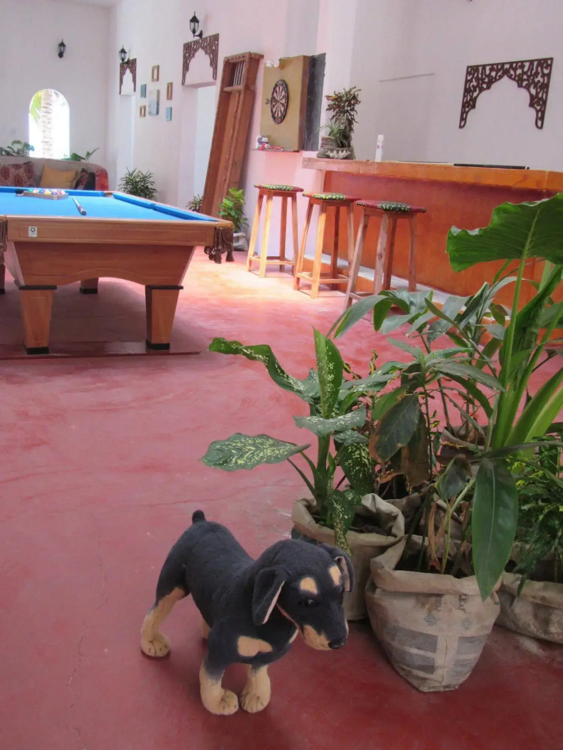 Kilima Kidogo Guest House