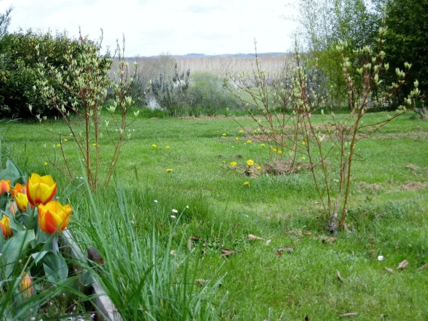 Les gîtes Bois-Cassé