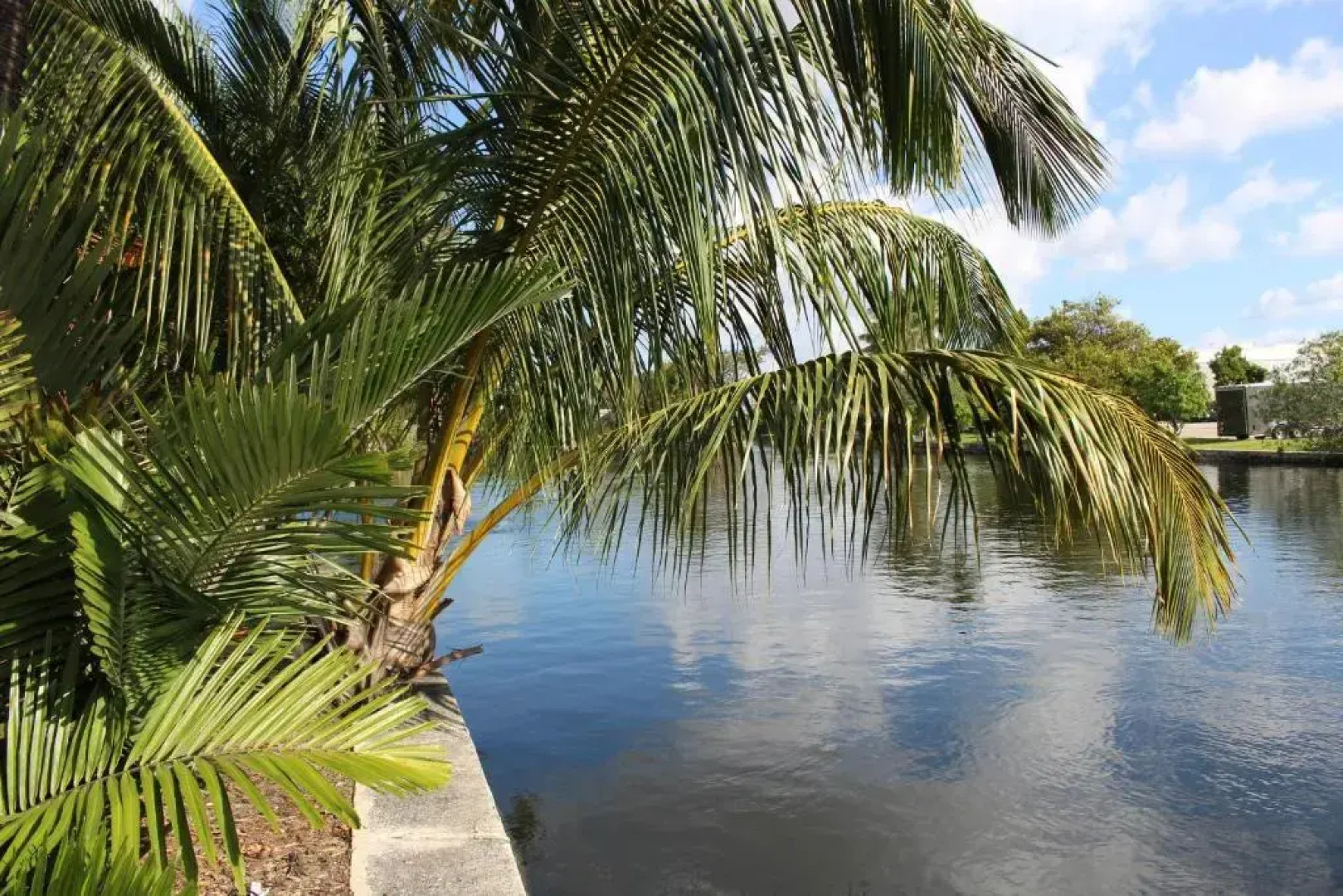 The Cabanas Guesthouse & Spa 