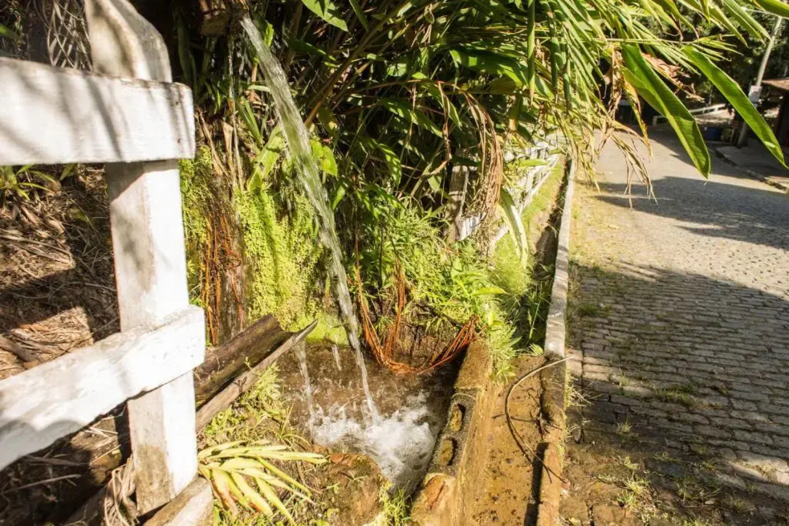 Pousada Cascata
