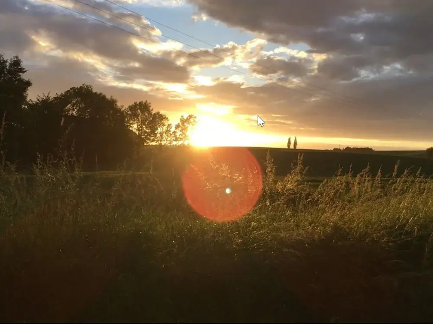 Hof Kiebitz - In Ostrau