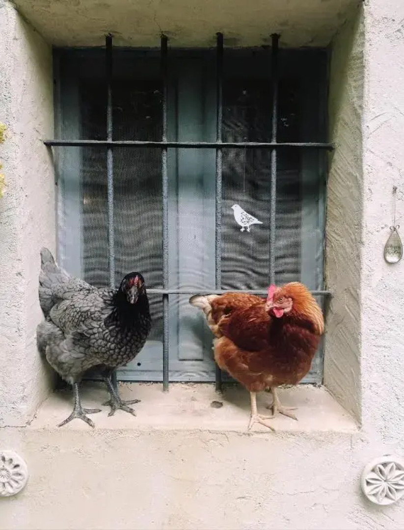 A romantic suite in the countryside near Torino