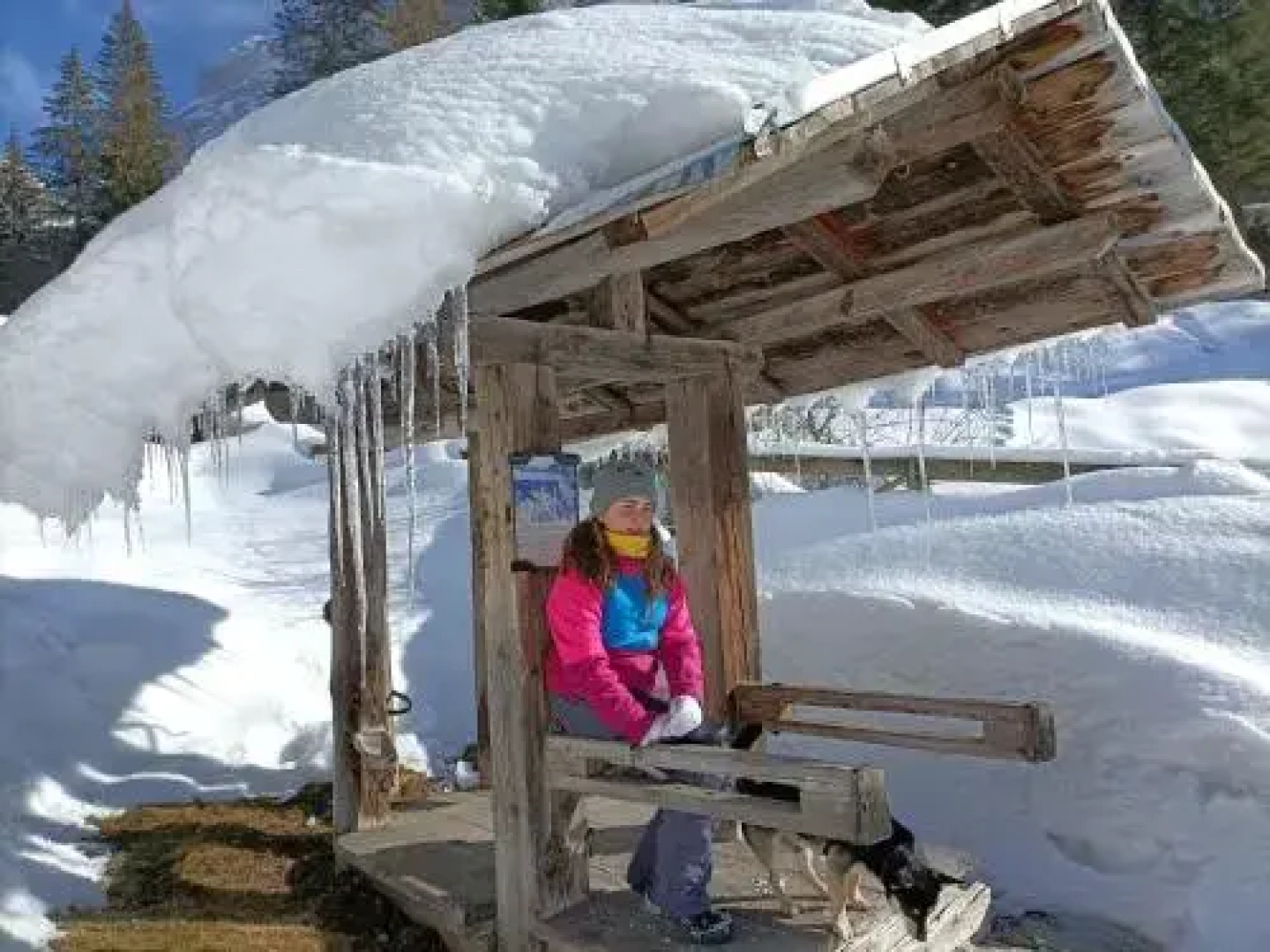 Hotel Lorenzini Ski