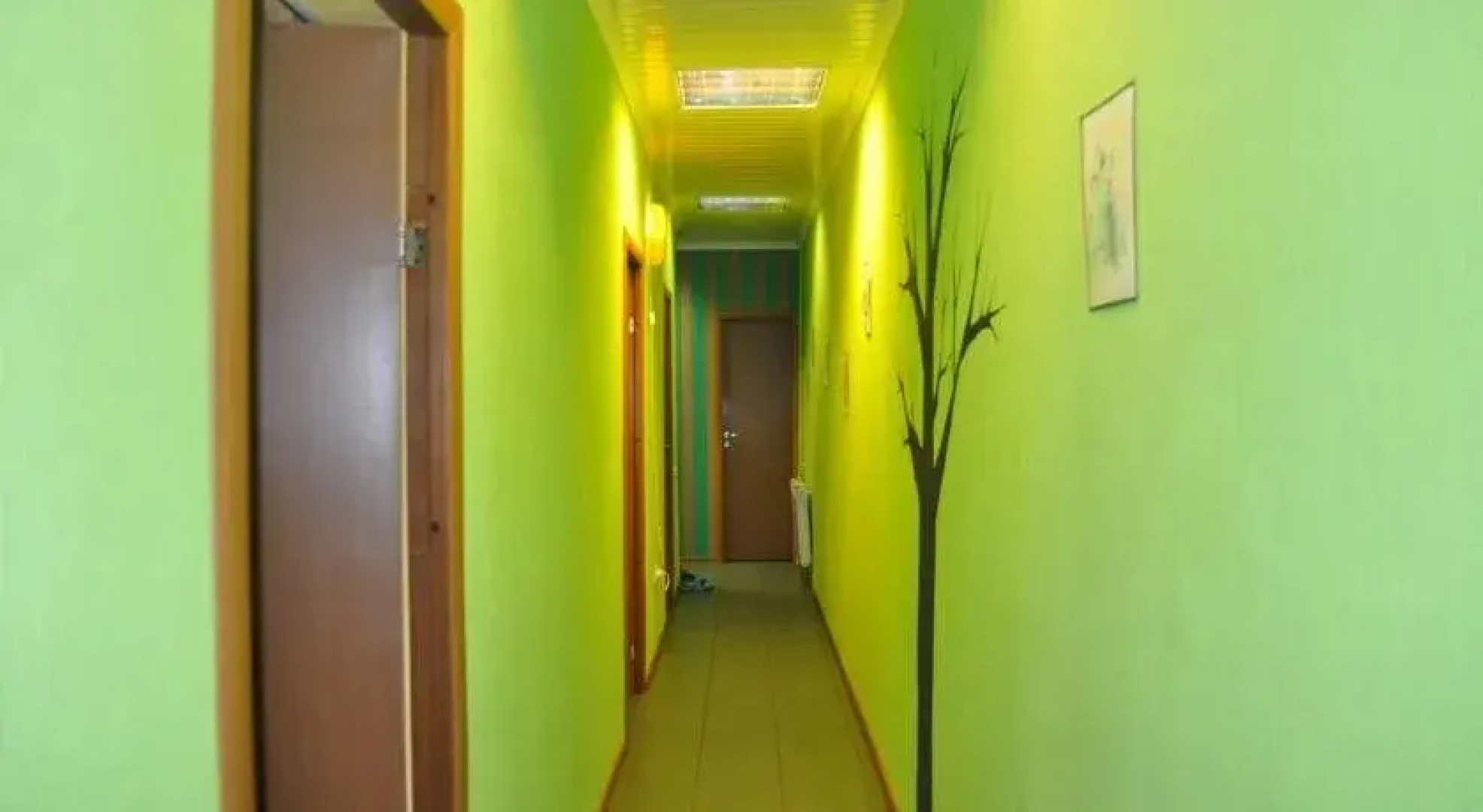 Green Cat Capsule Hostel