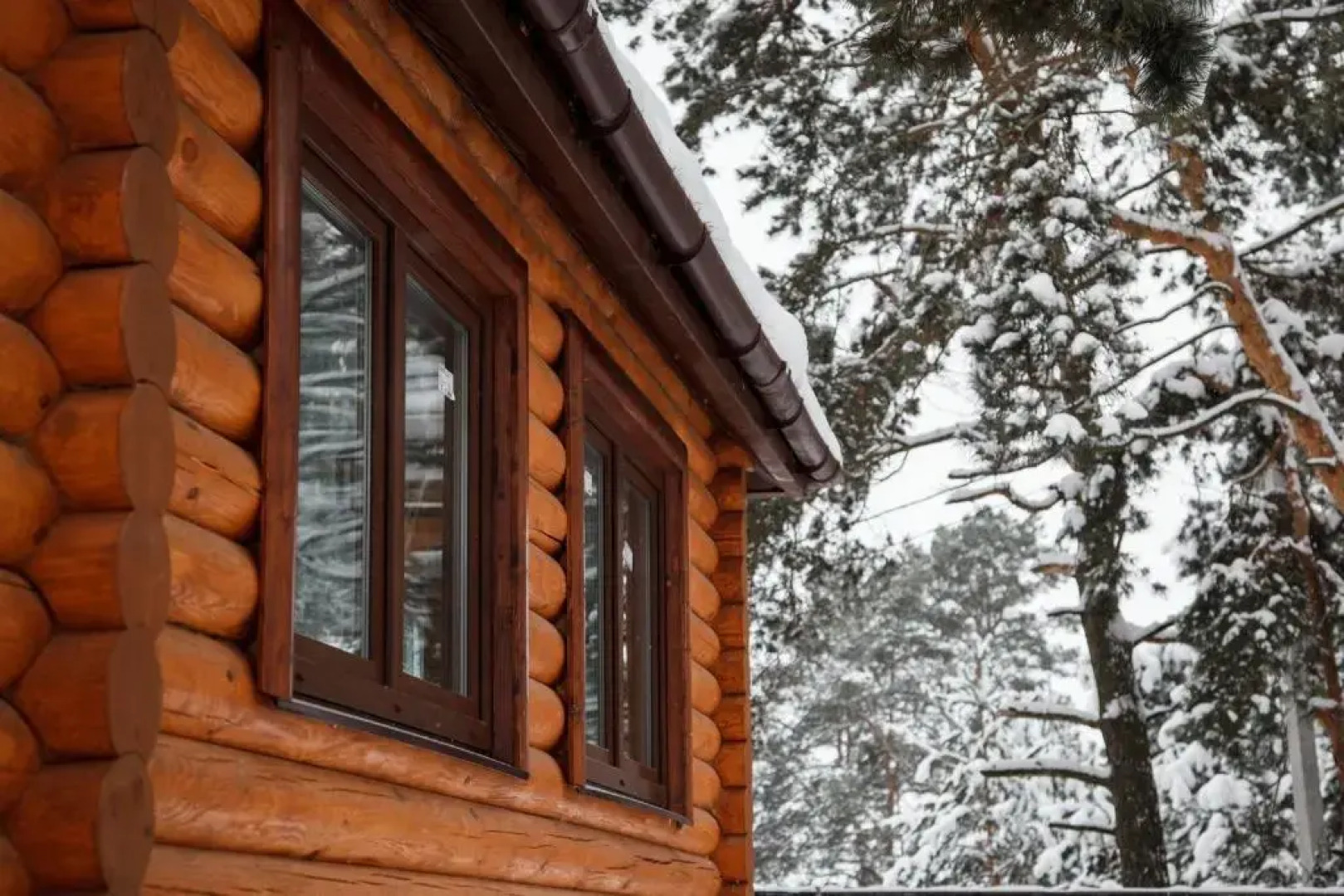 База отдыха Сосны