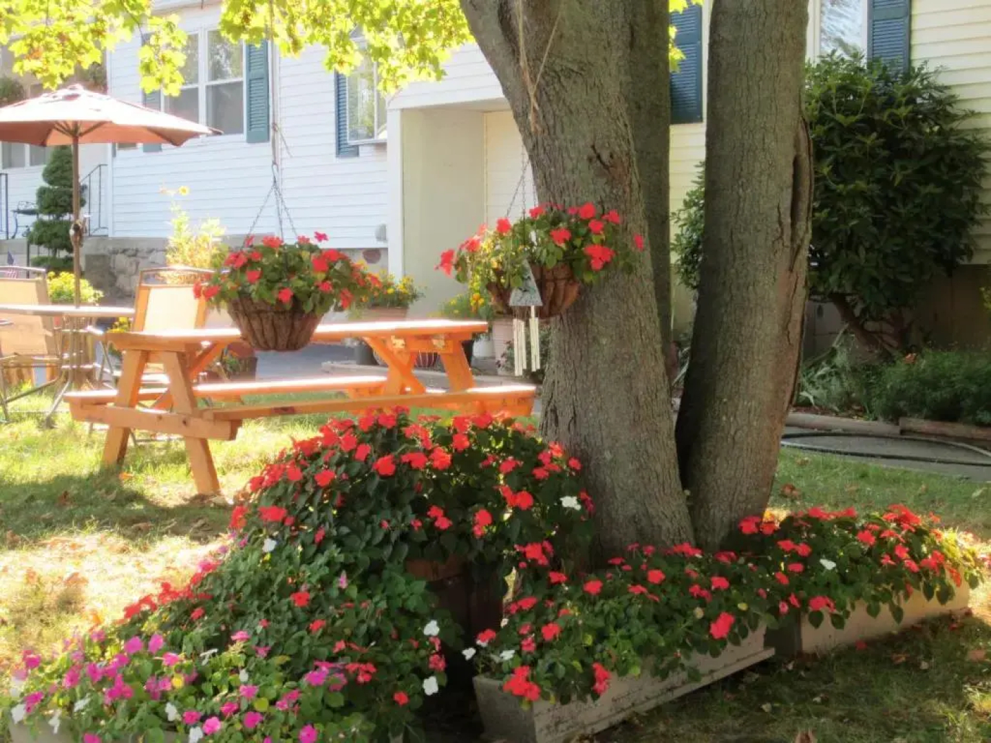 Founder's Brook Motel and Suites