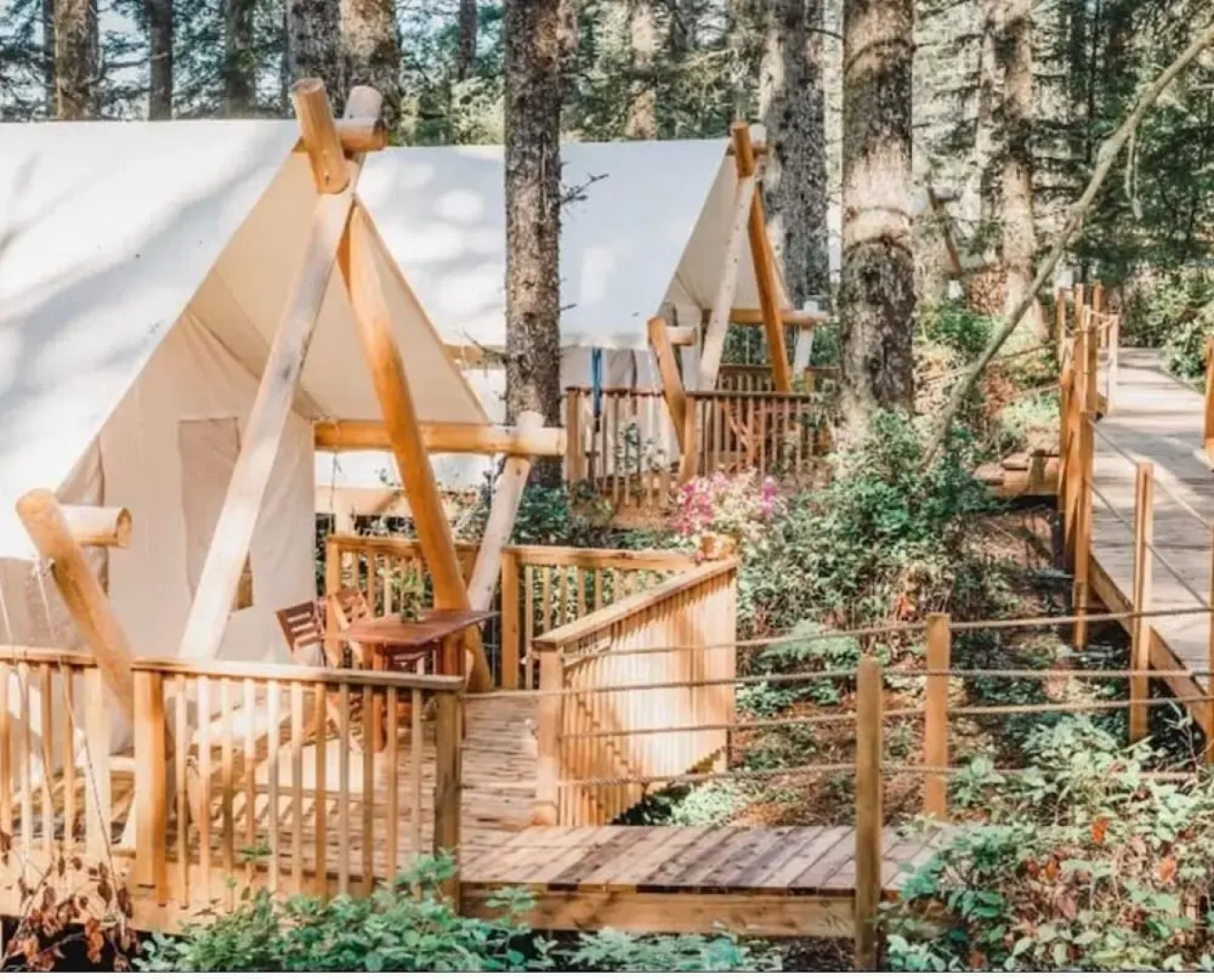 Haida Gwaii Glamping Co.