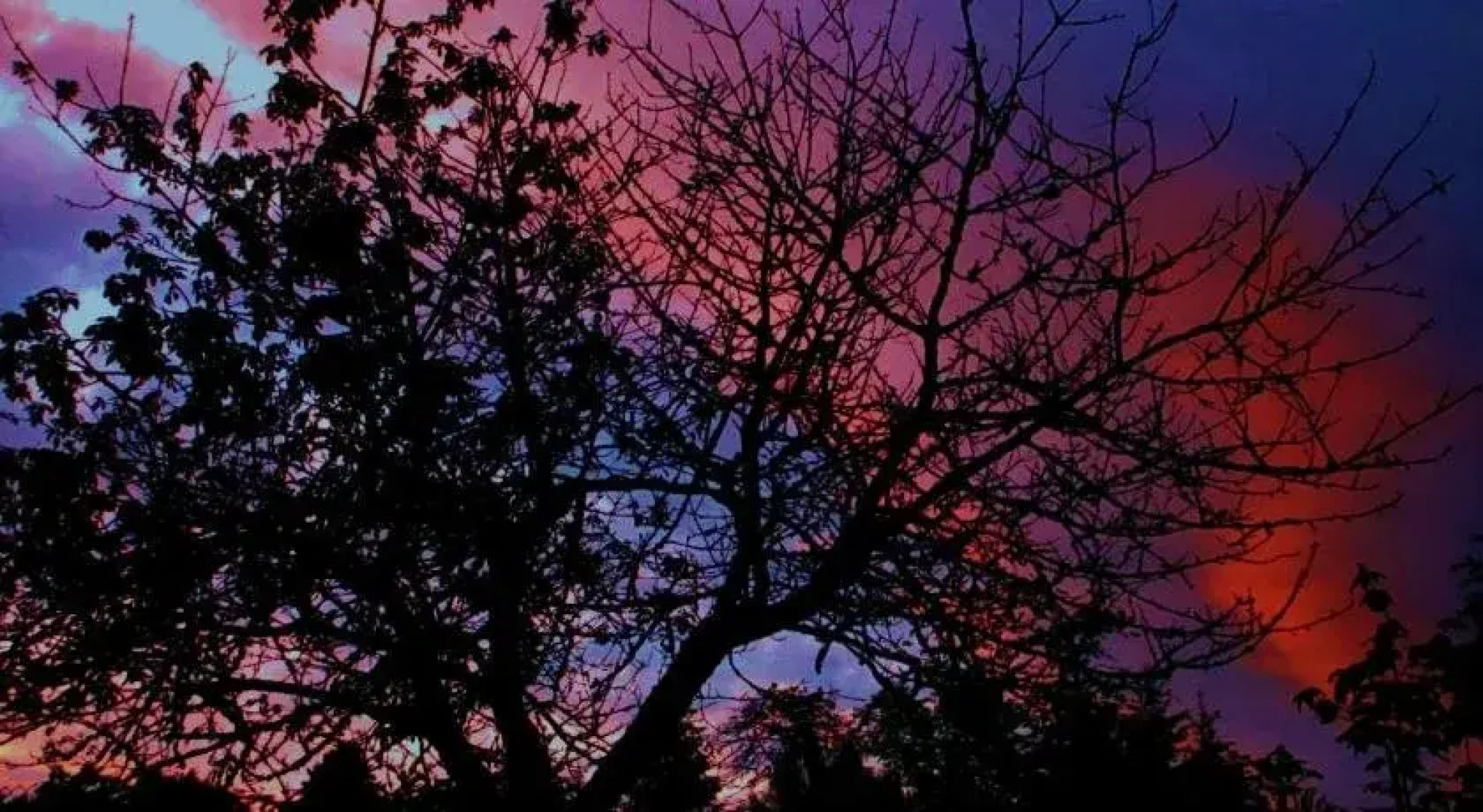 Tillys Bed and Breakfast