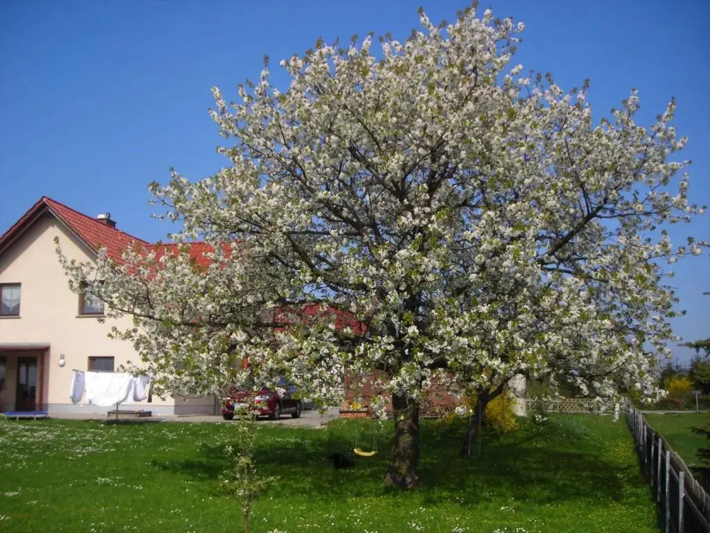 Ferienwohnung Gisela Kästner Stolpen