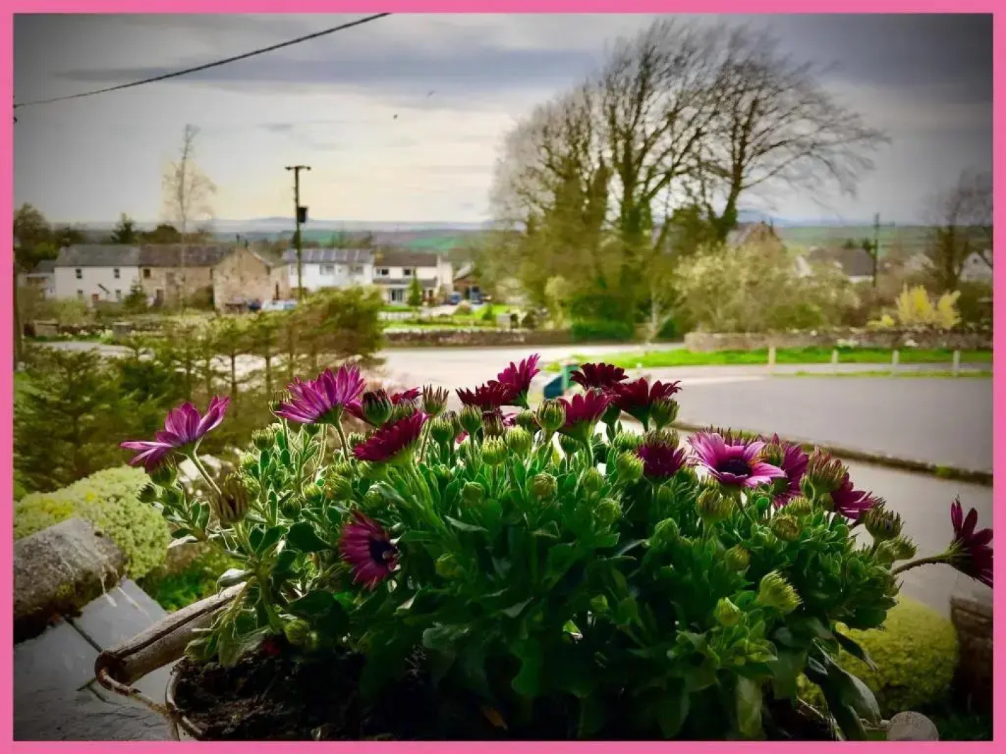 The Suite at Solway View