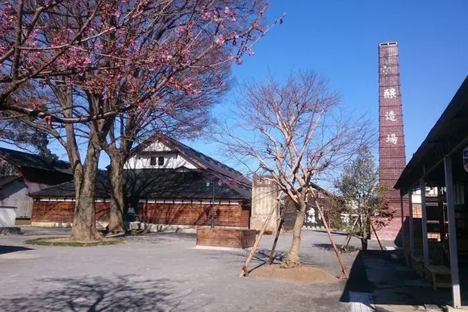 Hotel Green Core Bando