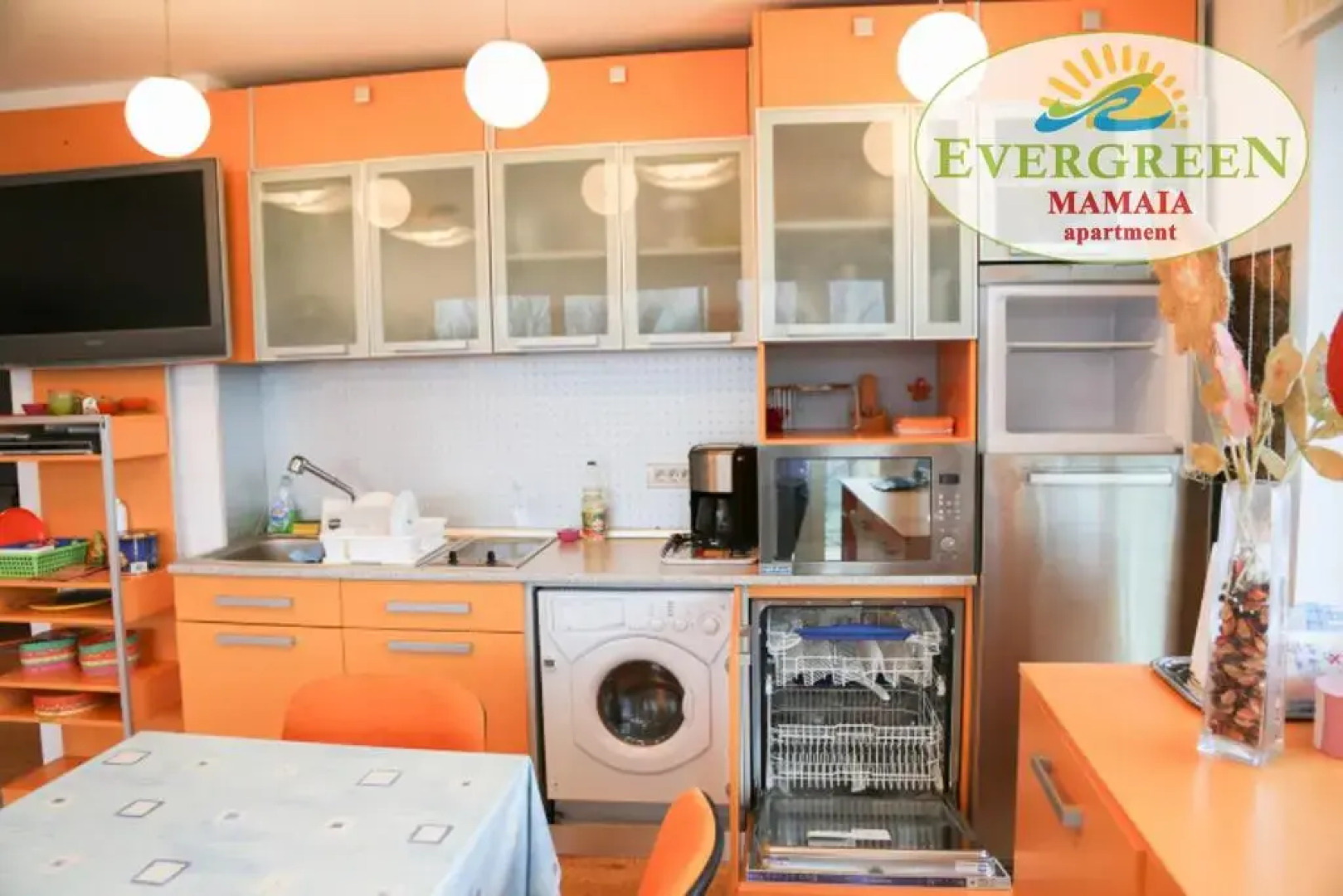 Evergreen Vlas Mamaia