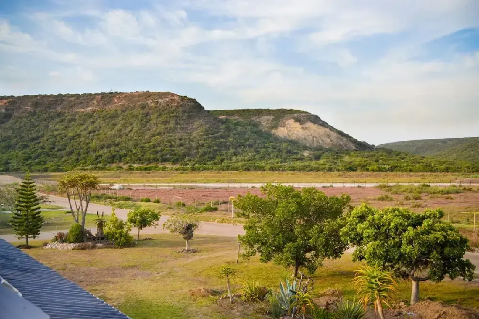 Addo Park View Ndlovu