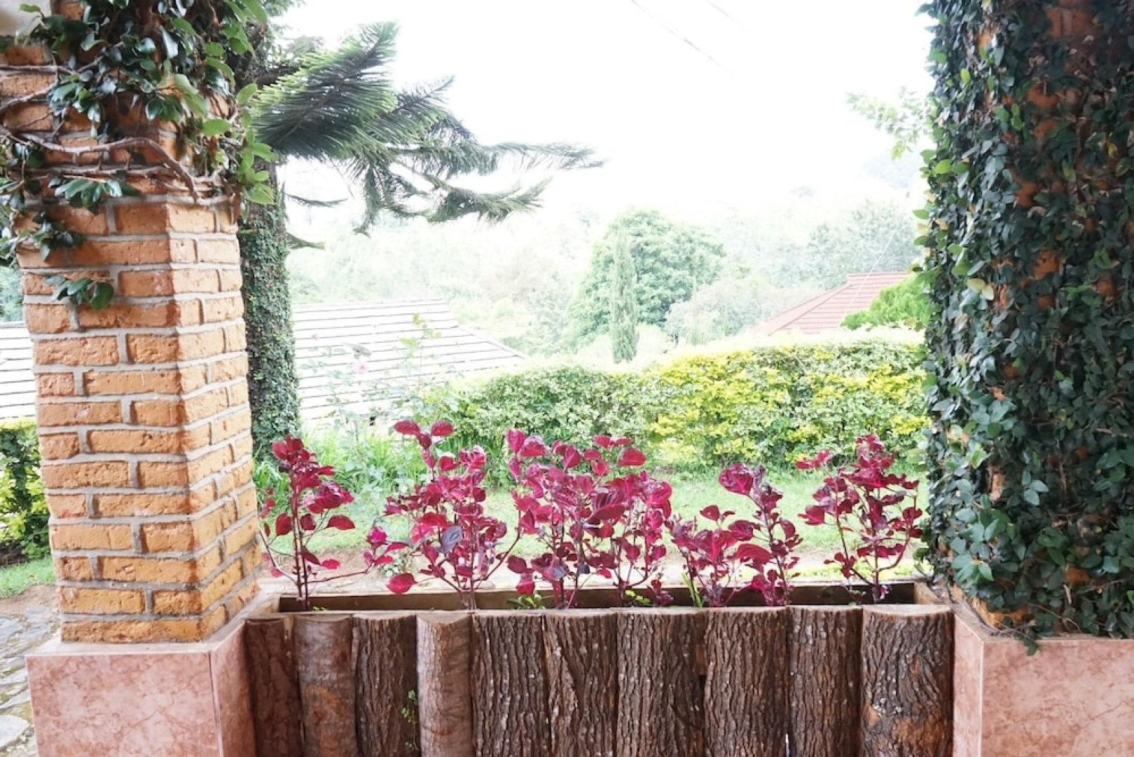 Lushoto Executive Lodge