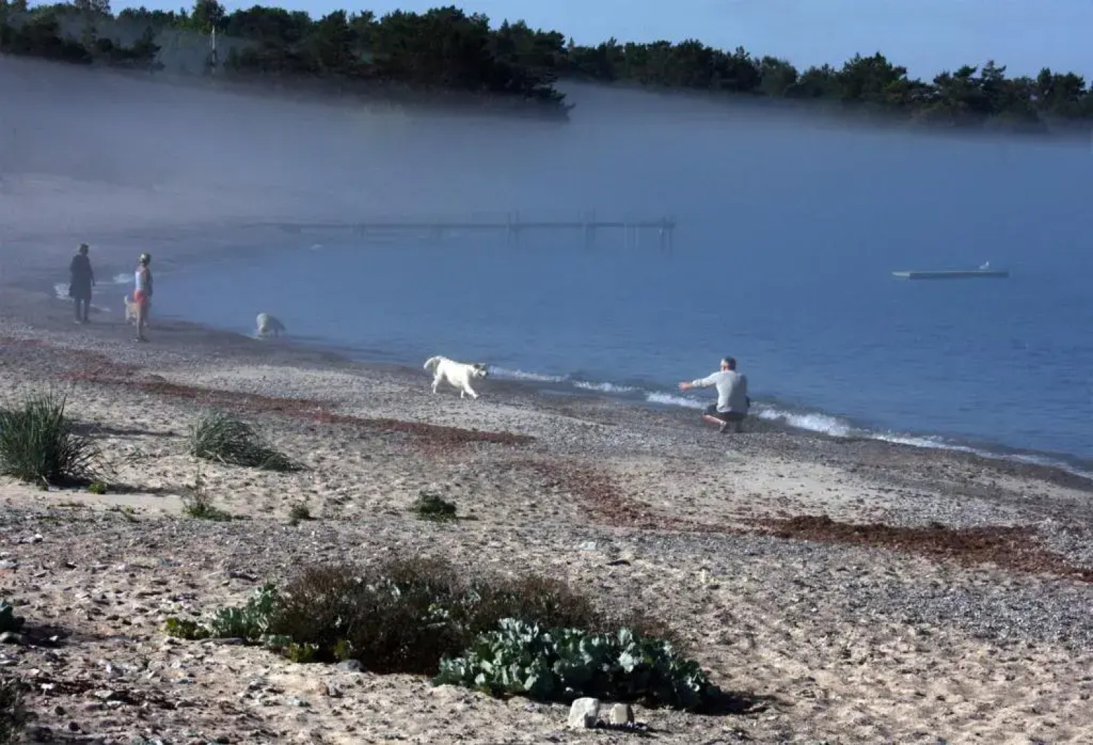 Stuga m havsutsikt & 50m till strand