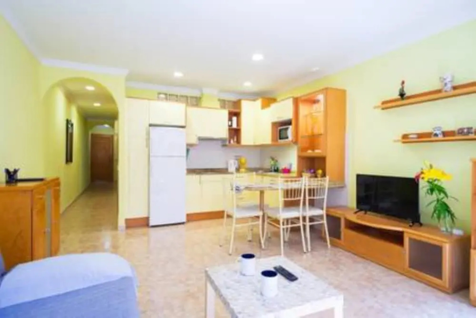 Sea Stars Las Canteras