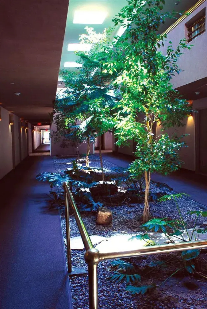 Hotel At Cities of Gold