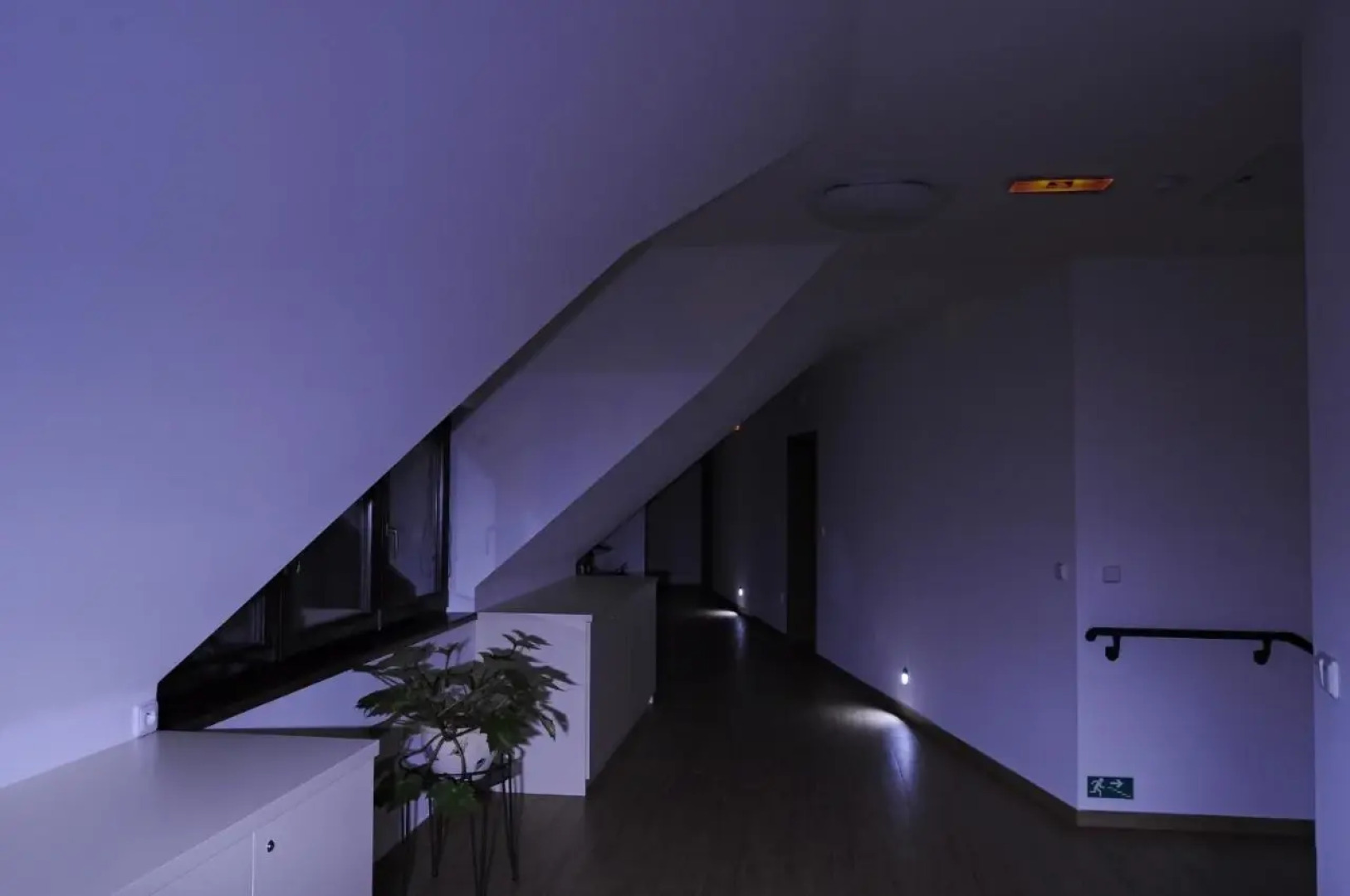 Apartmány pod lípou