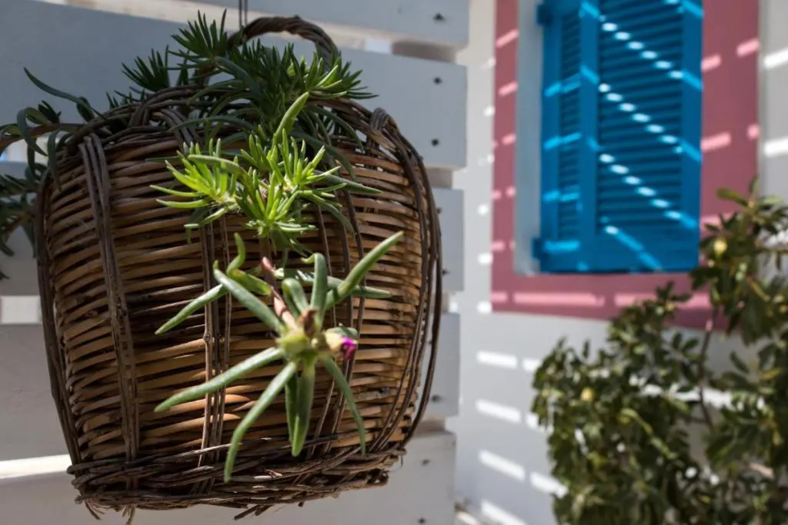 Miltiadis Apartments