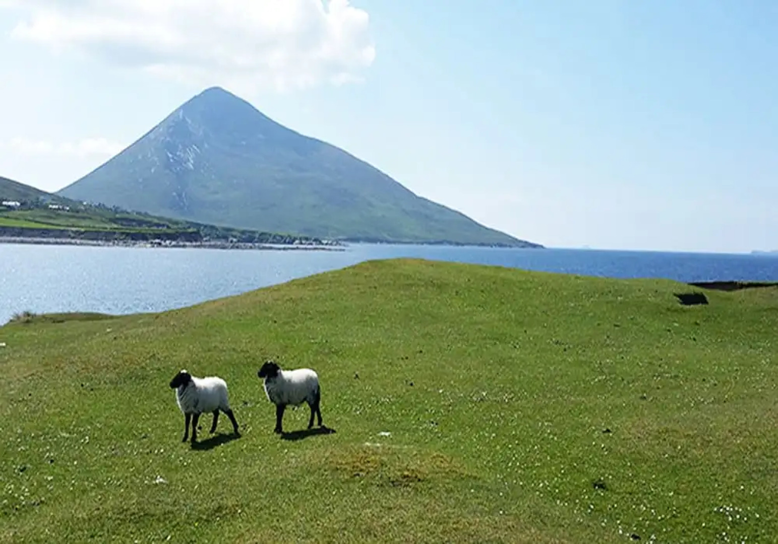 The Valley House Hostel