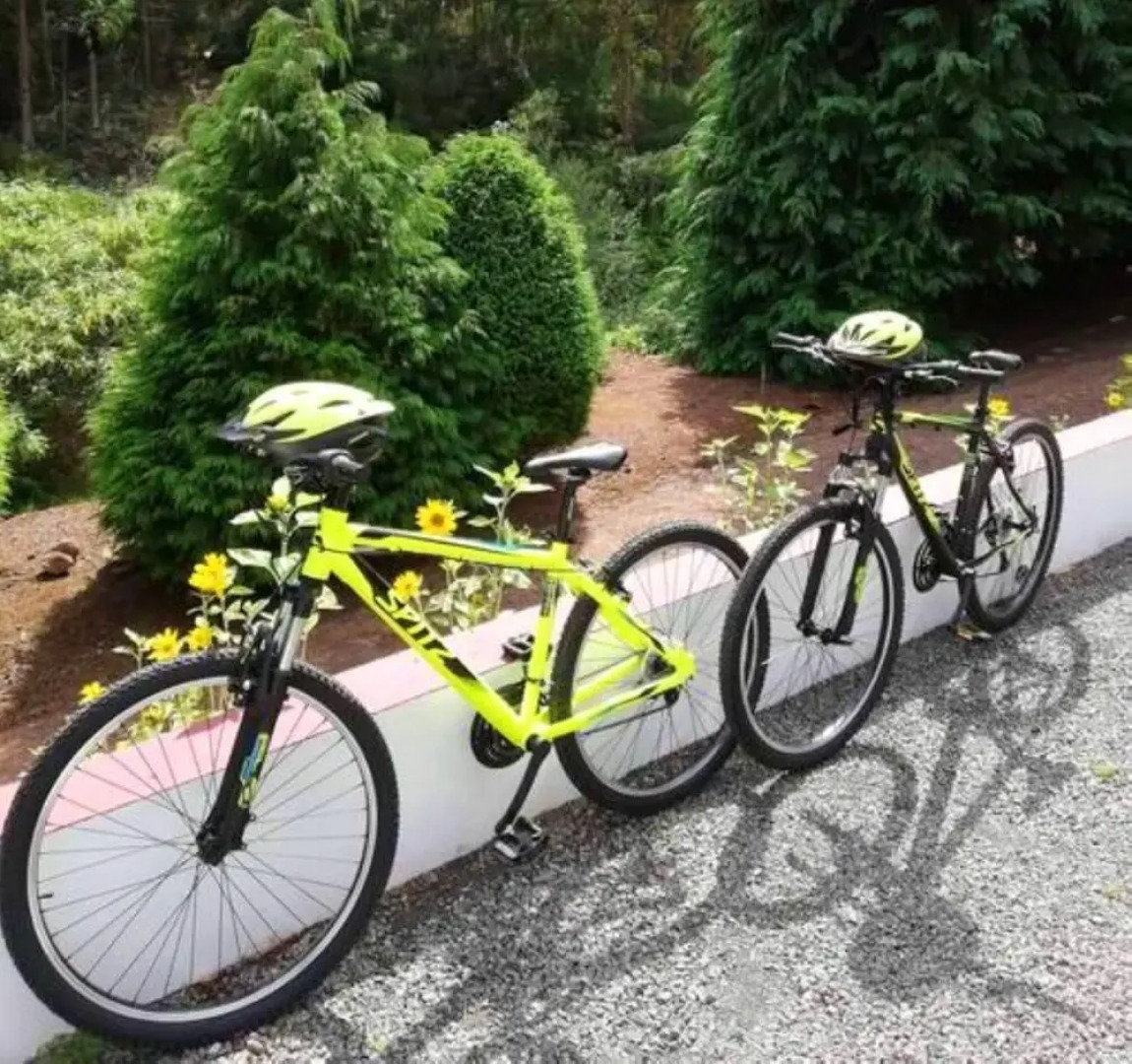 House With one Bedroom in Camacha, With Wonderful Mountain View, Enclo