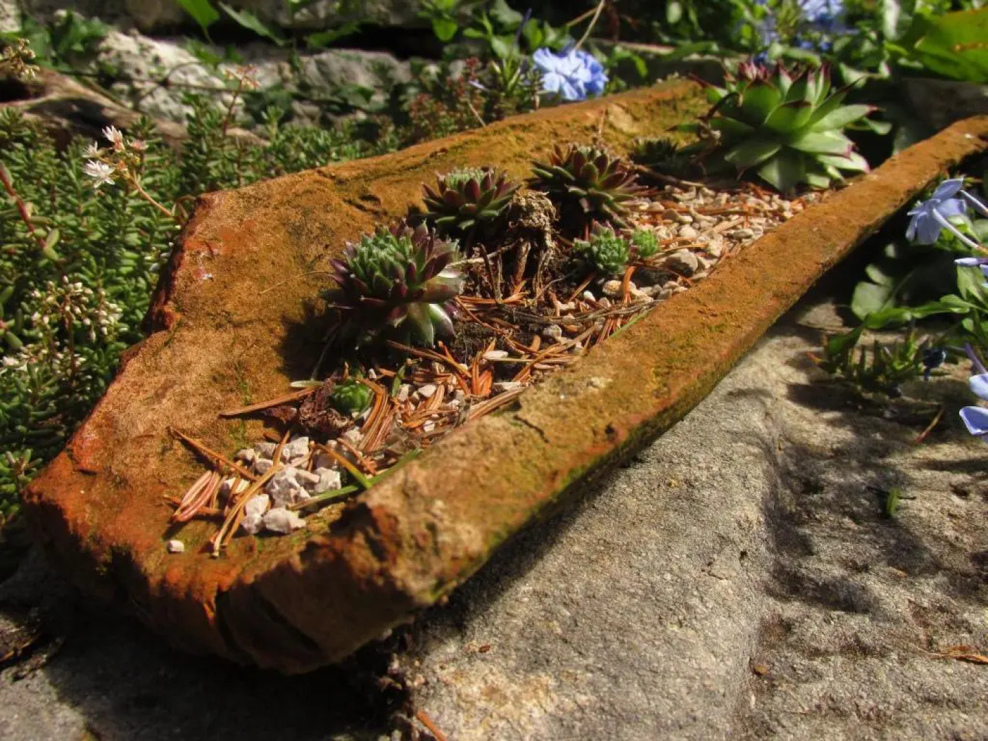 Holiday Home Botanica