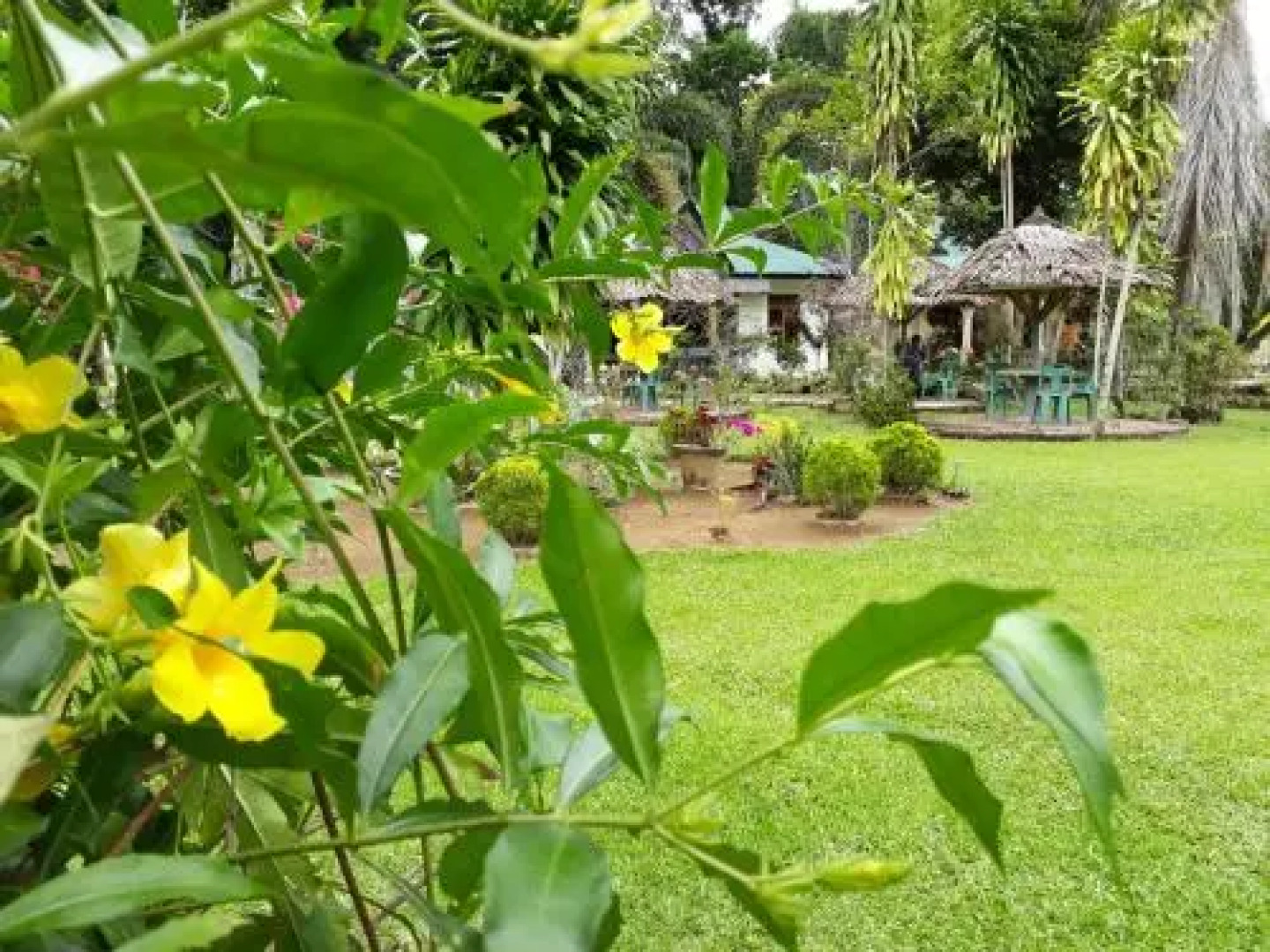 Batu Mandi Guest House Bukit Lawang