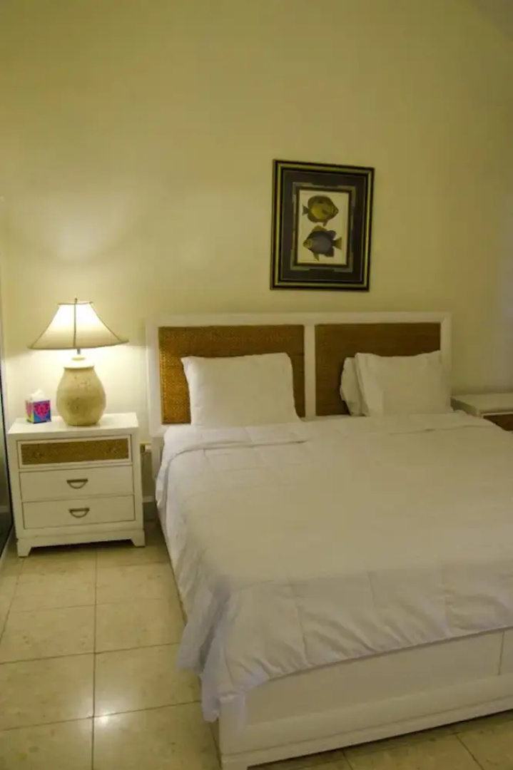 Premier Oceanfront Spectacular View Villa in Palmas Del Mar Bv231