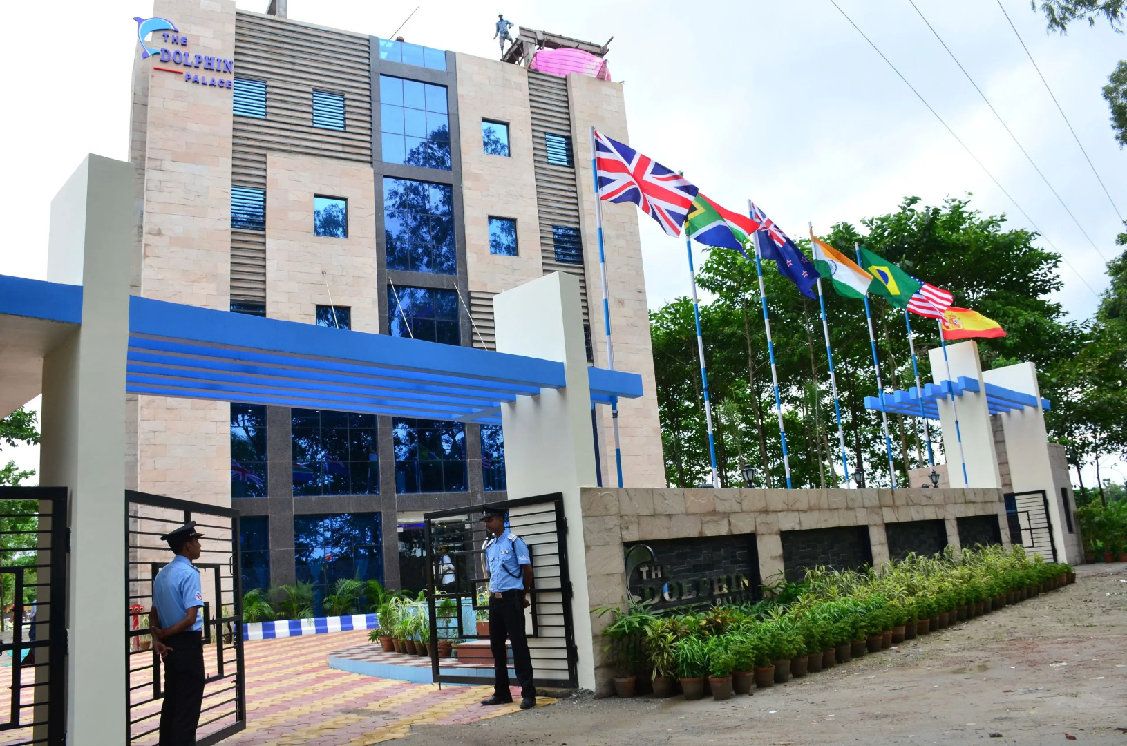 Dolphin Chocolate Inn