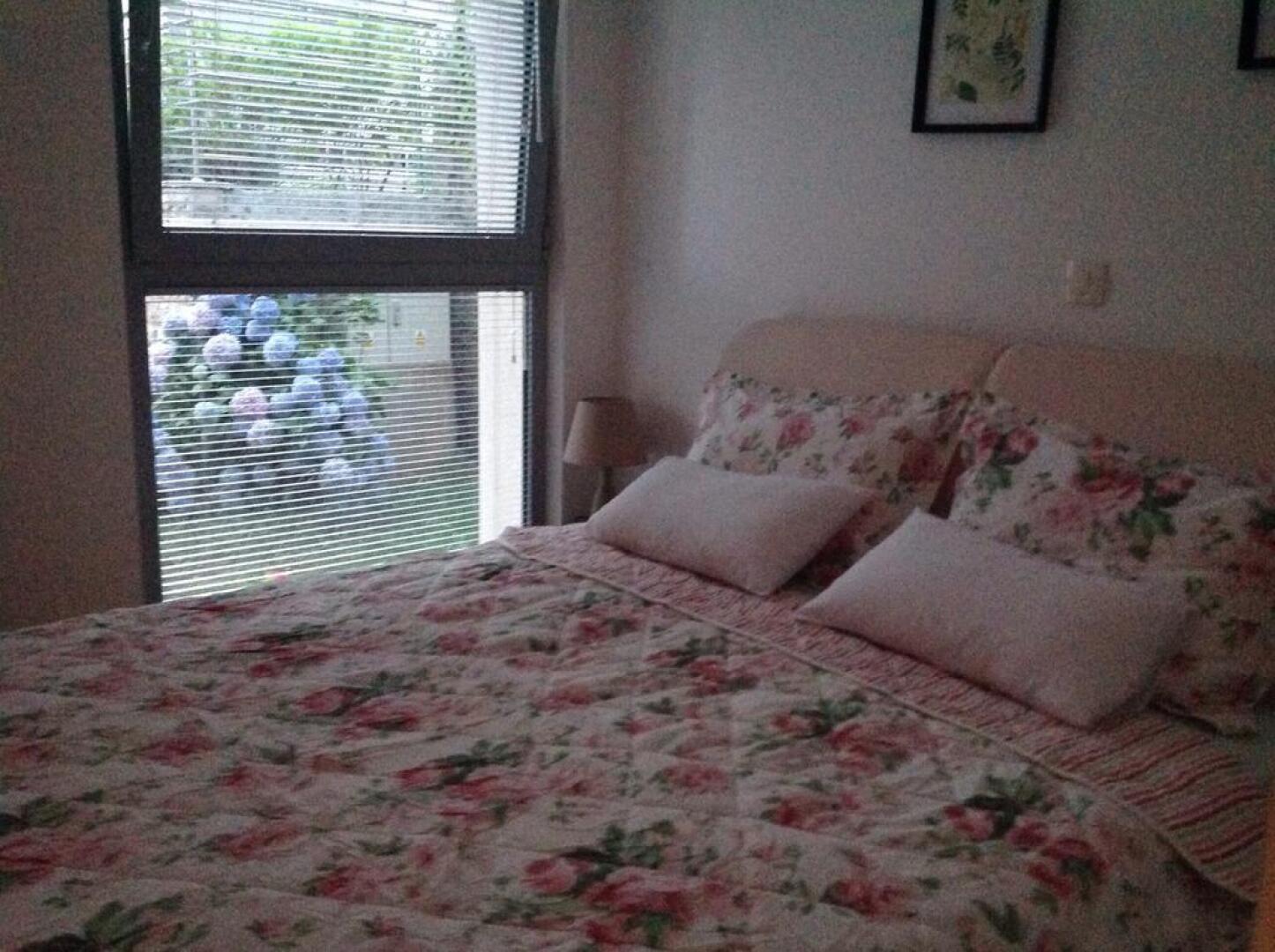 Acacia Hill, Djenovici