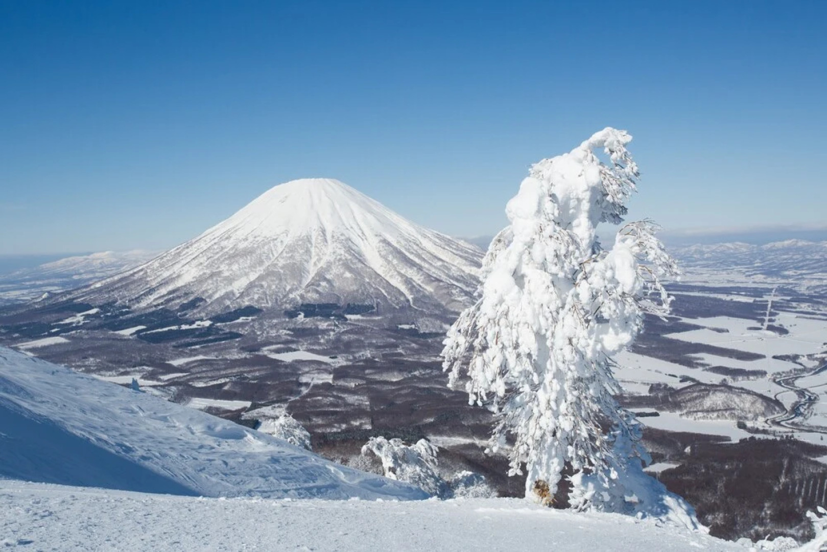 the kamui niseko
