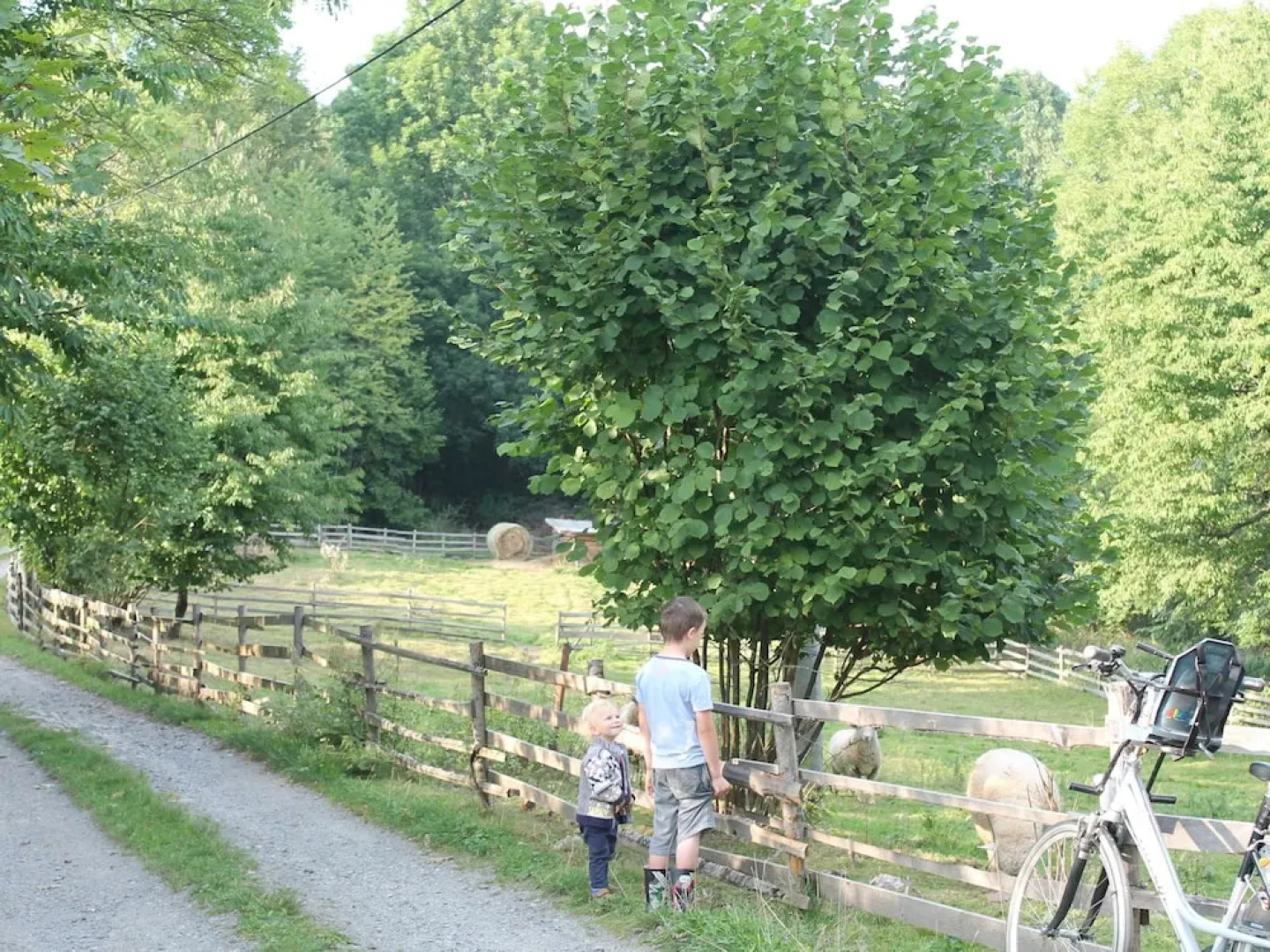 Detached Home With Fireplace Nearby Flemish Coast