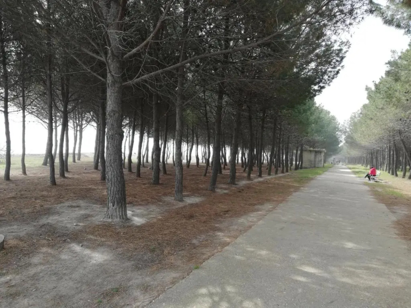 Residence Conchiglia