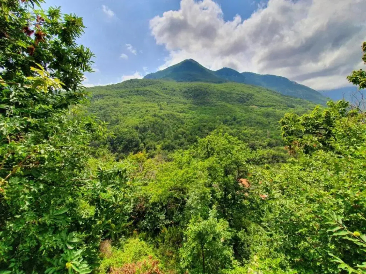 Il Girasole At Andorus' House