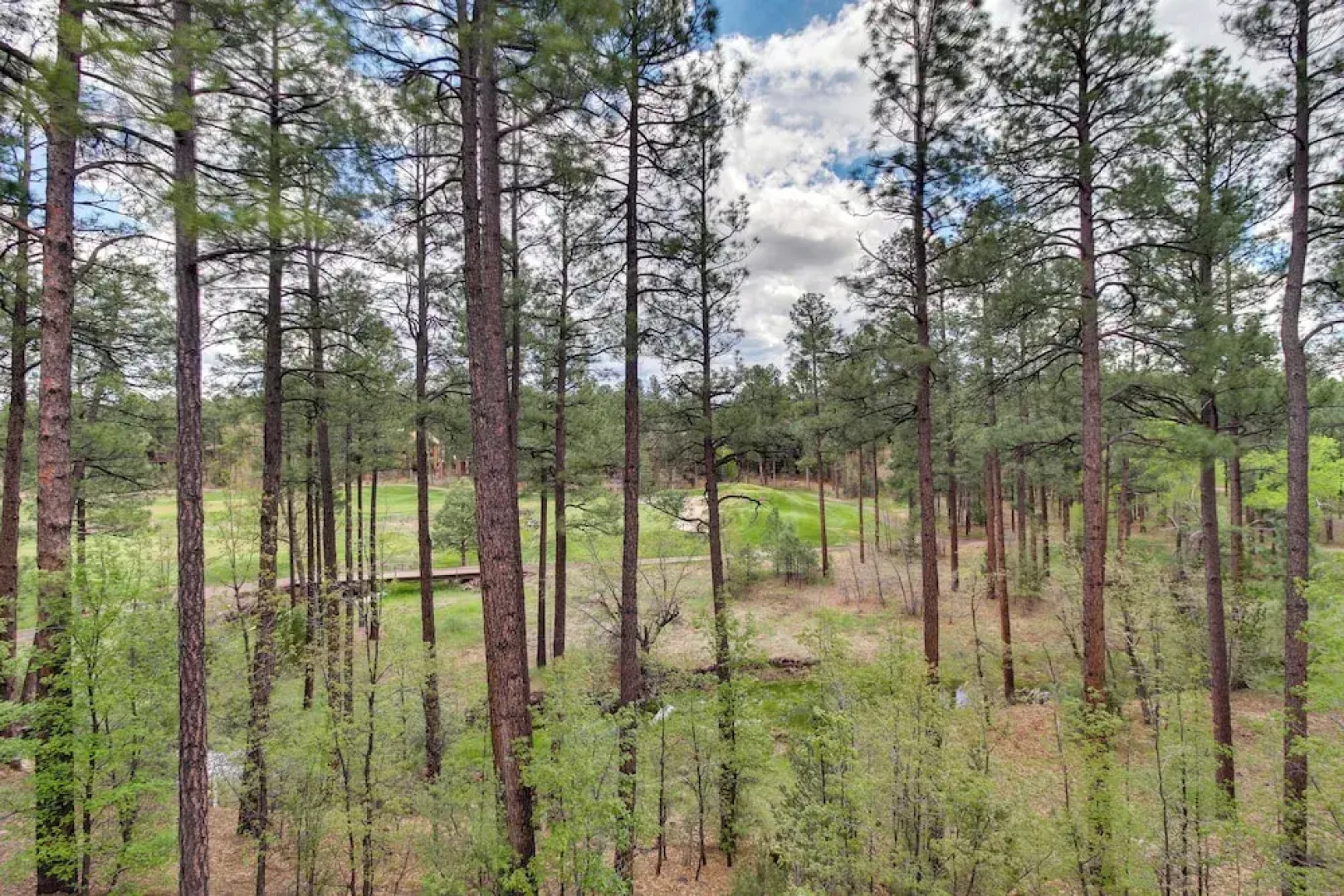 Fireside Comfort & Family Fun: Wooded Show Low Gem