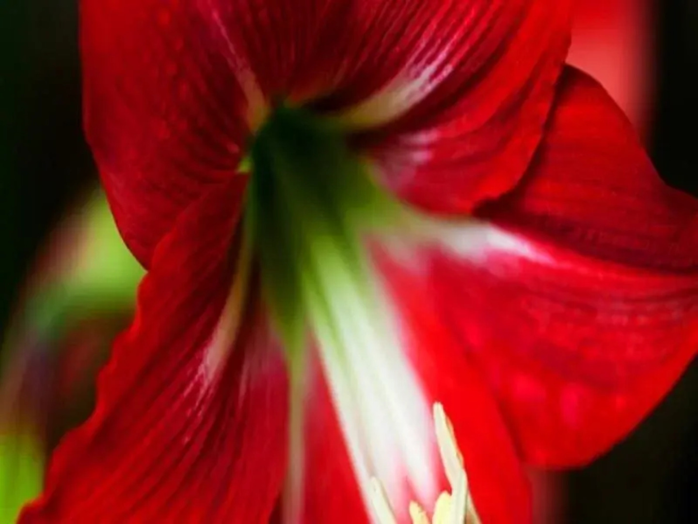 Tranquil Nest Resort - Thandikudi