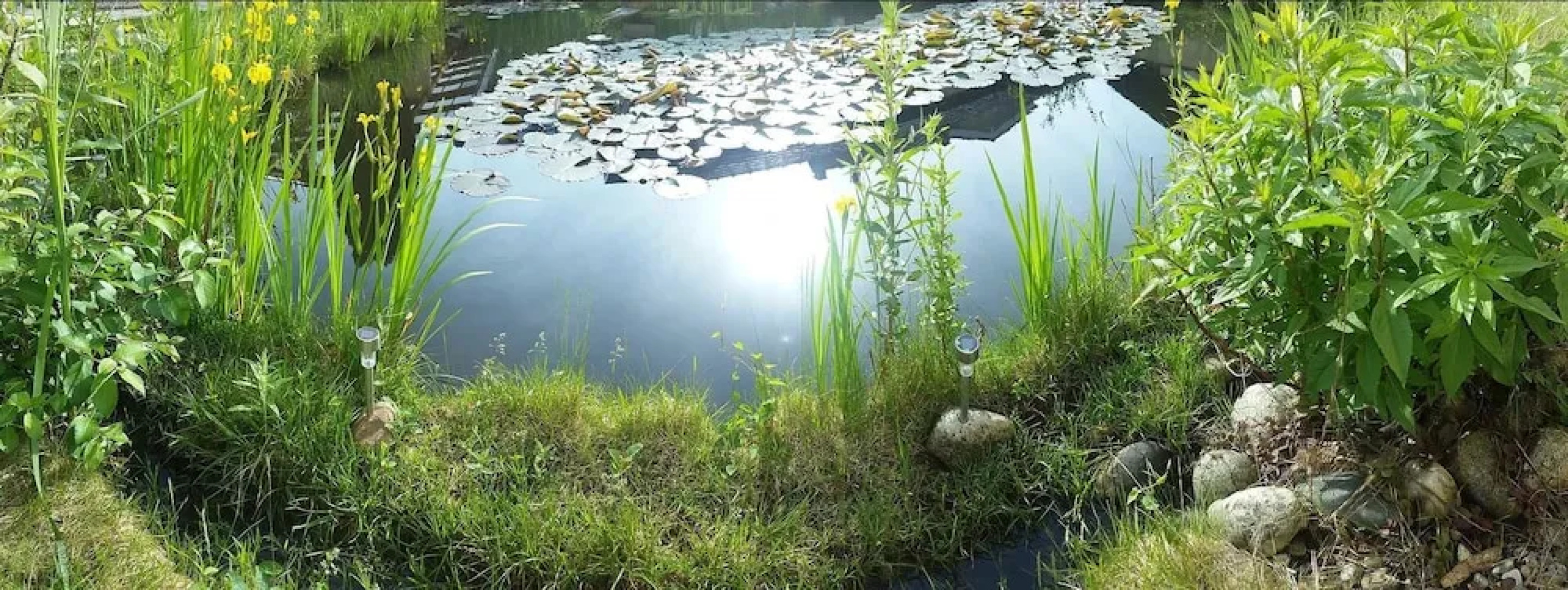 Gästehaus Pfennigmann