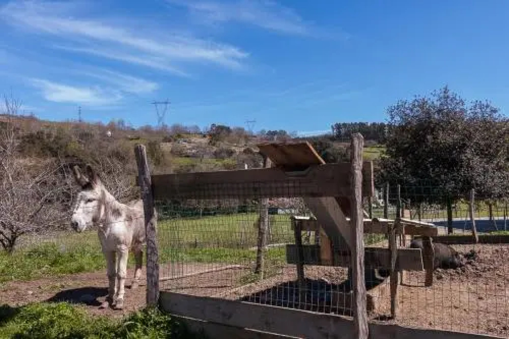 Casa Rural Restaurante Aranburu