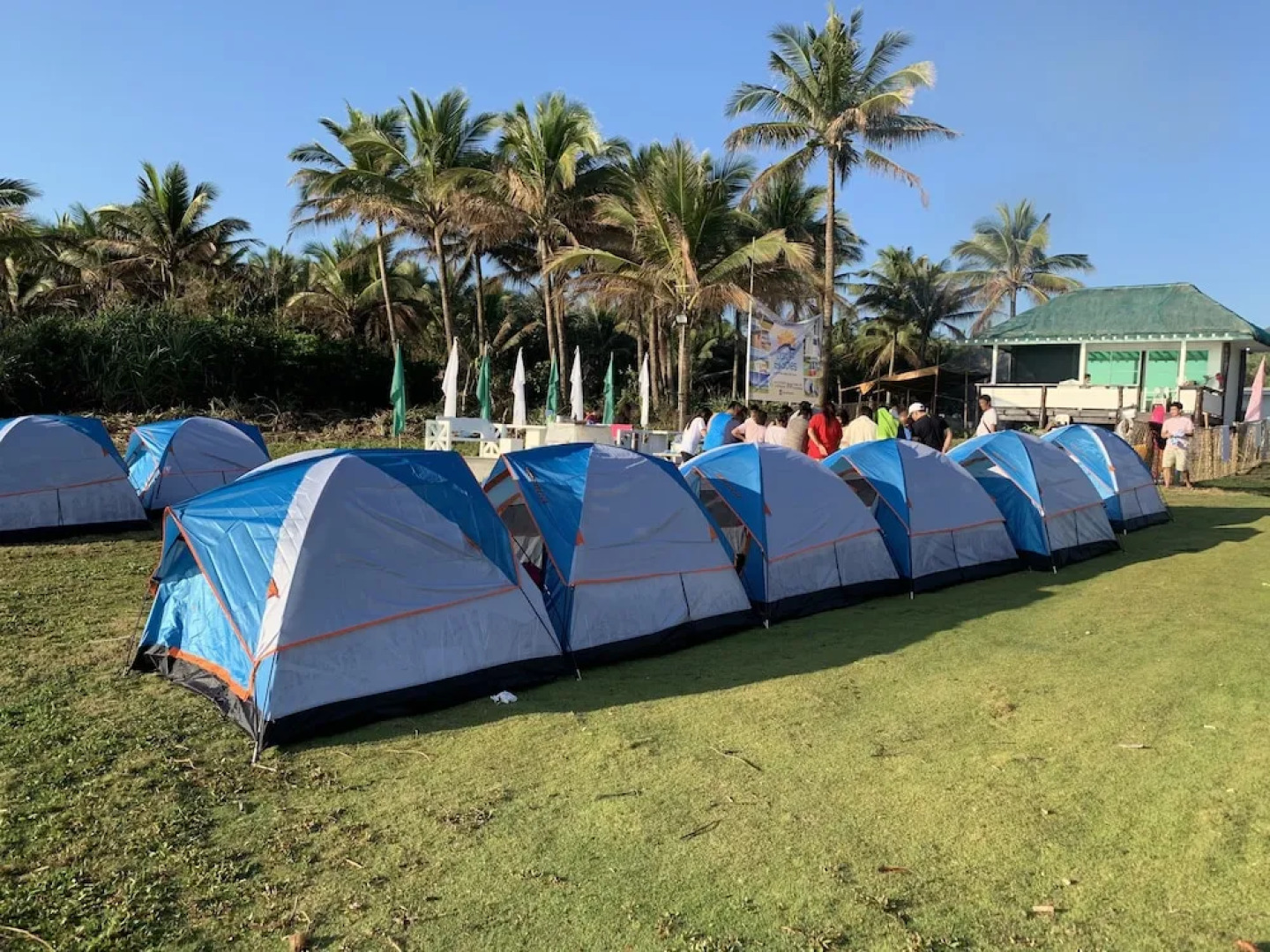 Pacific Buddies - Campsite