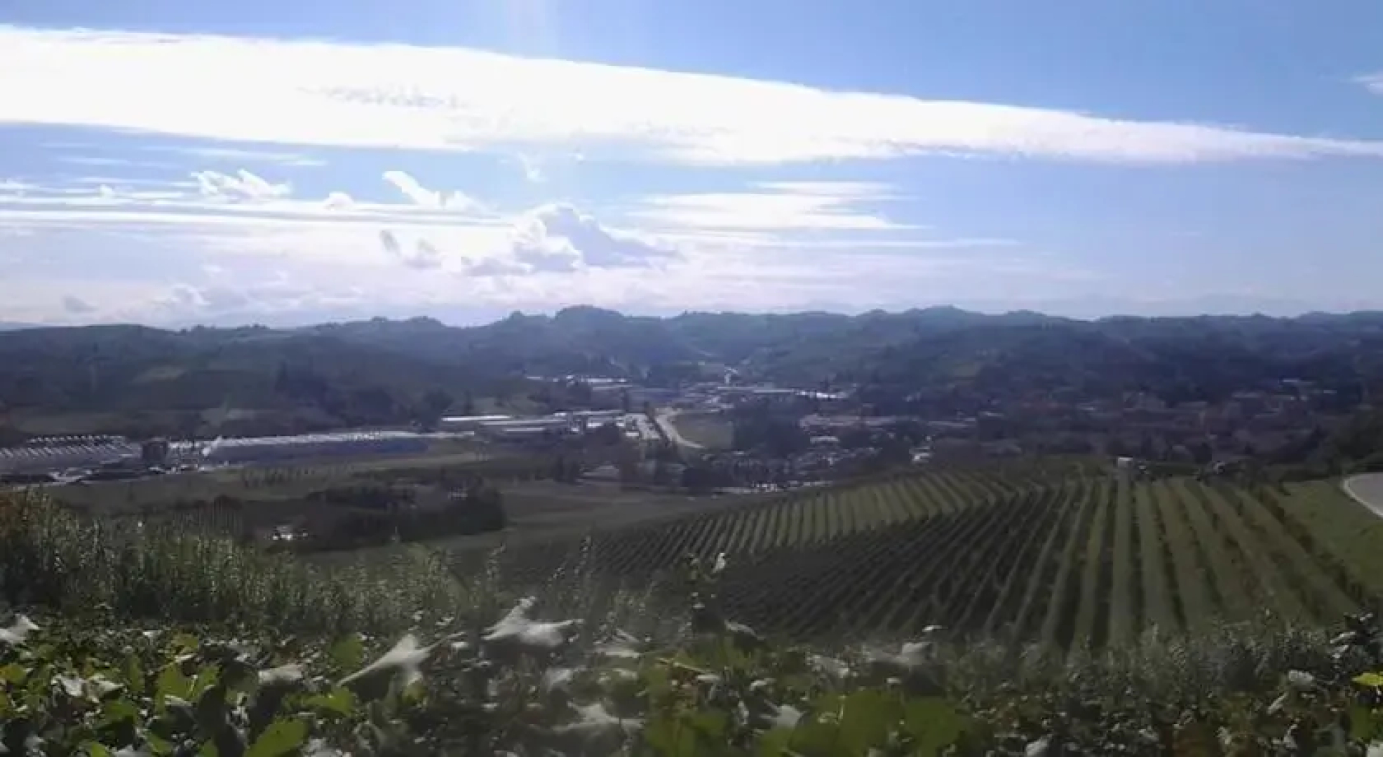 Cantina Monpissan