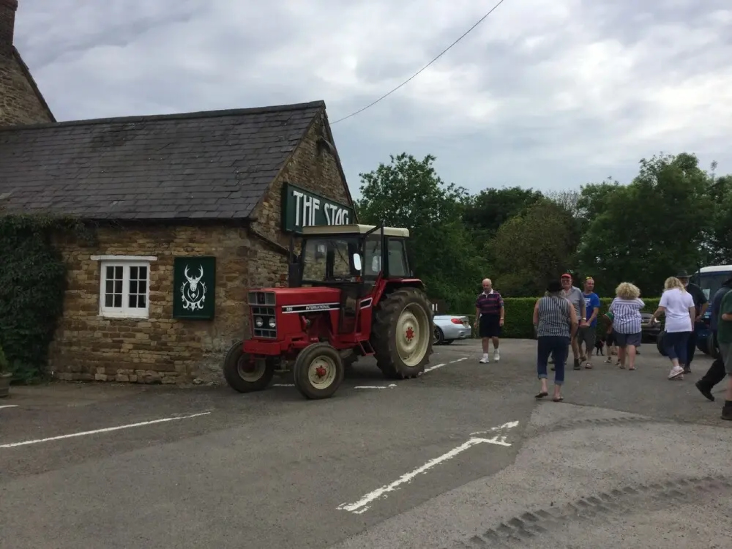 The Stag