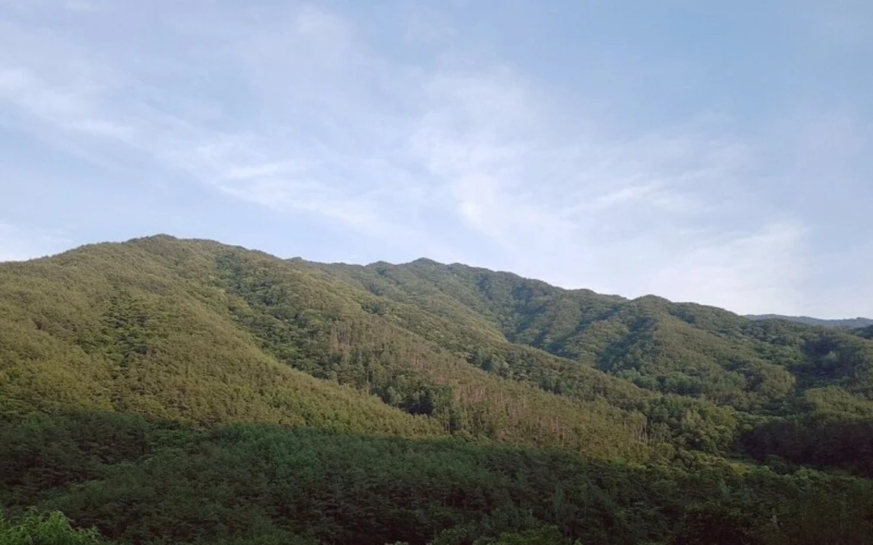 Namwon Kids Pool Villa Woorine Pension (2022.12.1 Remodeling)