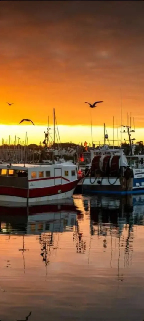 Studio face à la mer