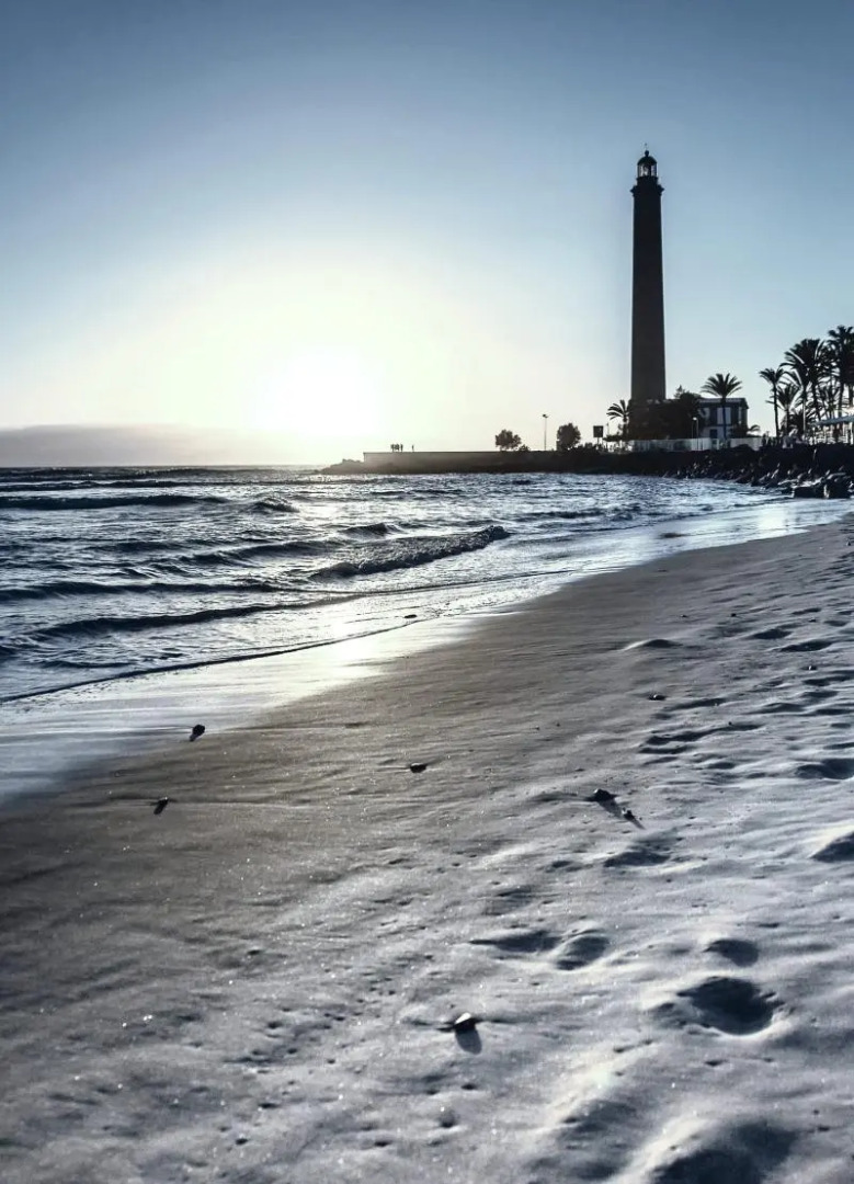 Apartamentos Dorotea