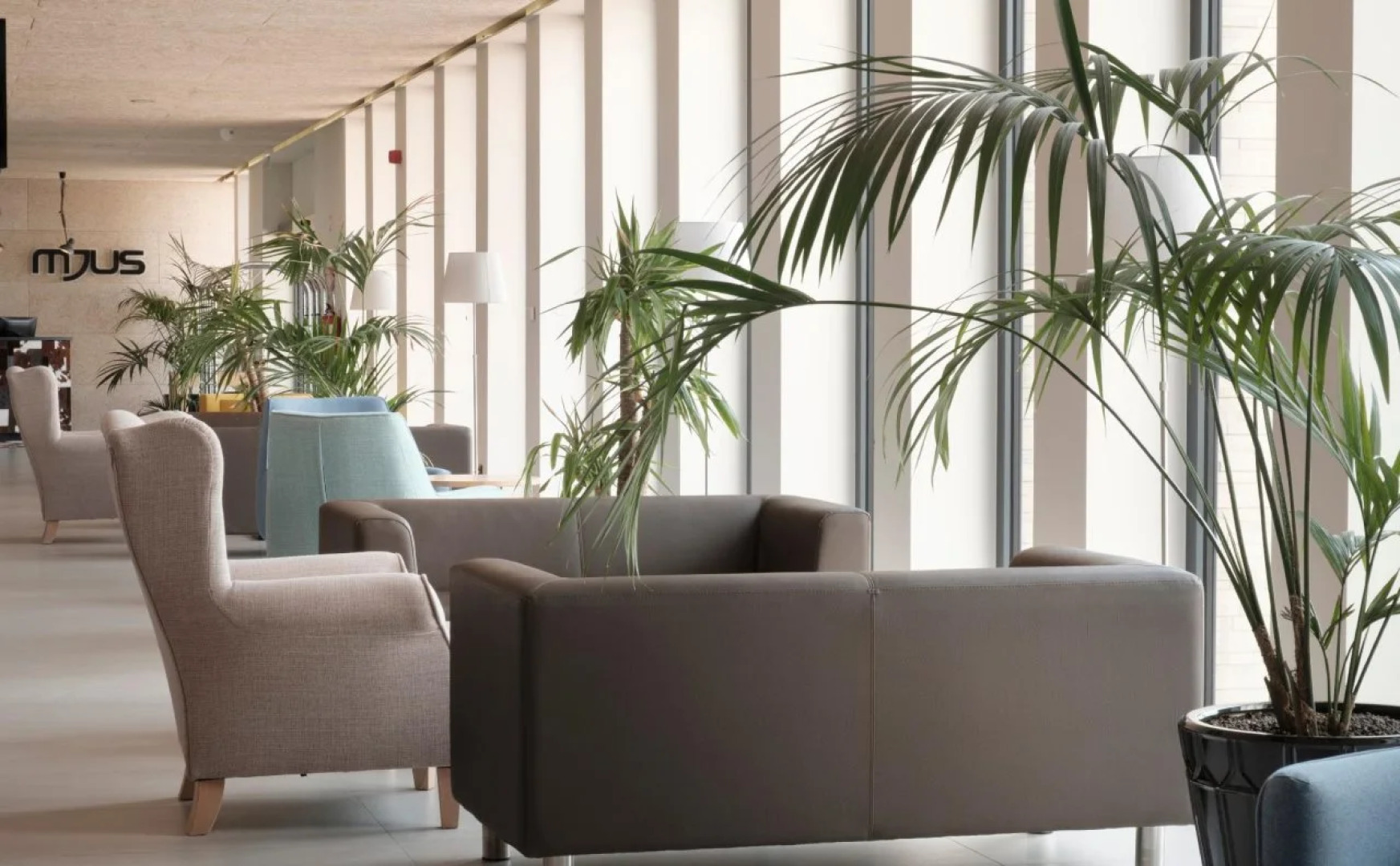 Mjus World Resort & Thermal Park