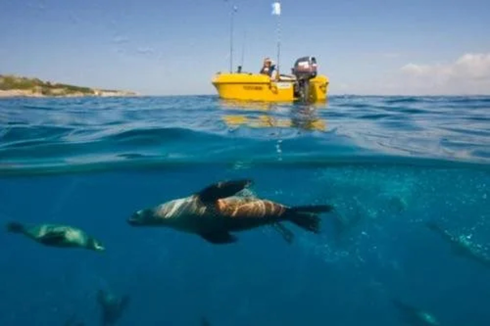 Mystery Bay Cottages