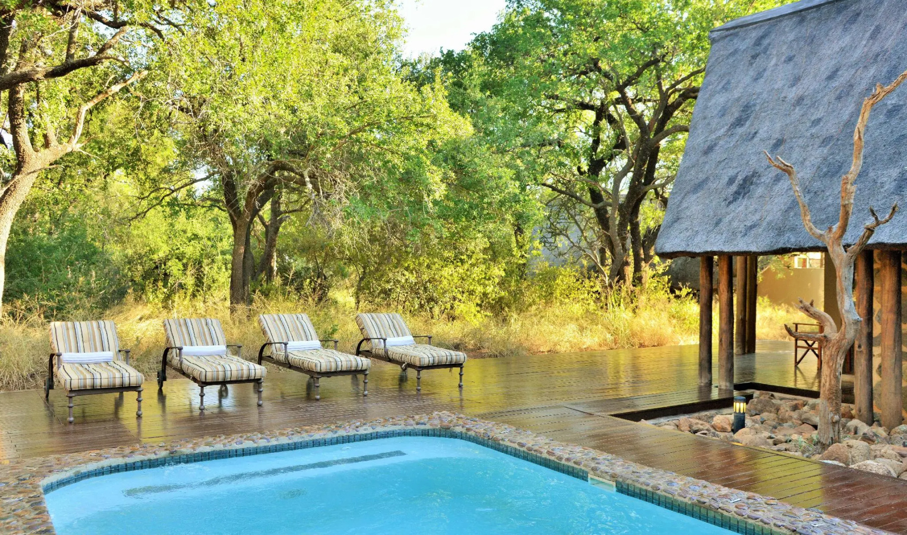 Black Rhino Game Lodge