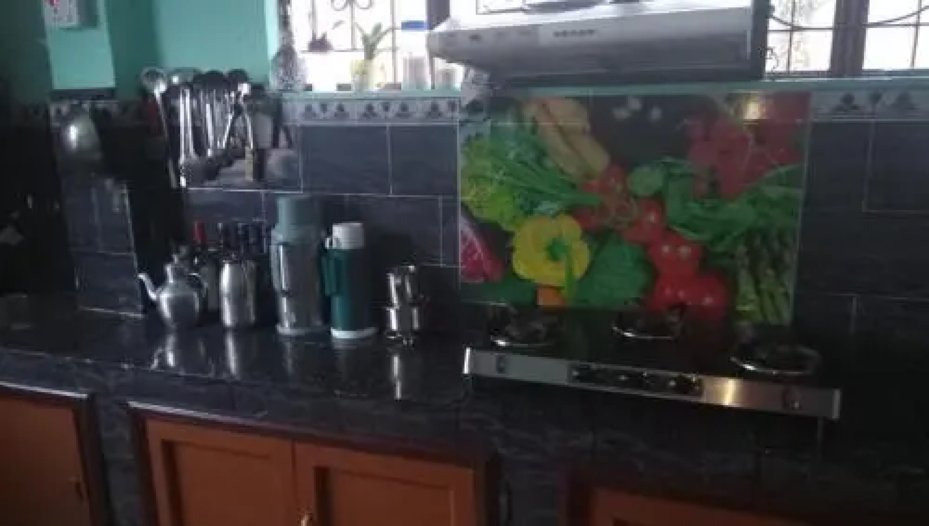 Vamoosetrail Singell