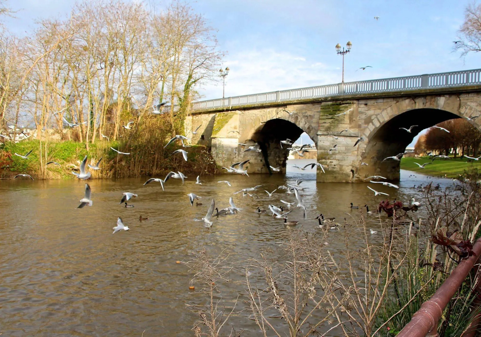Hotel Restaurant L'Esturgeon